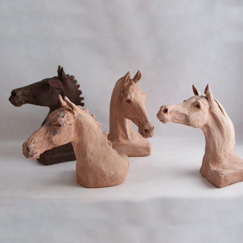 Têtes de cheval arabe et cheval de selle naturelles